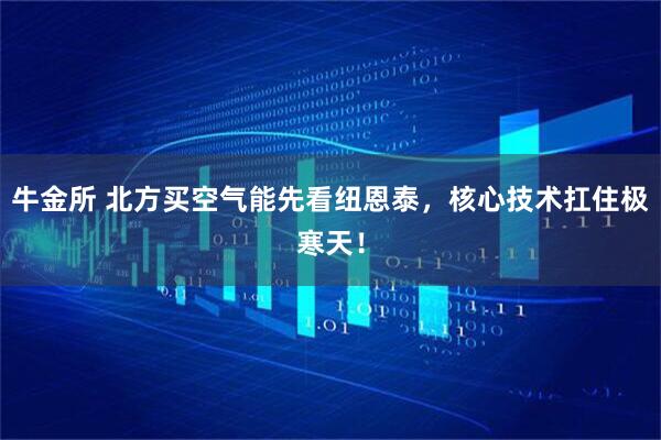 牛金所 北方买空气能先看纽恩泰，核心技术扛住极寒天！