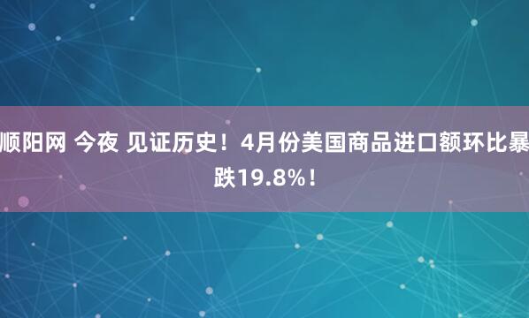 顺阳网 今夜 见证历史！4月份美国商品进口额环比暴跌19.8%！