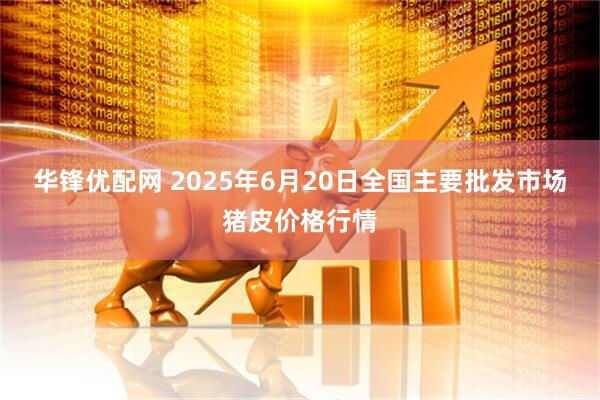 华锋优配网 2025年6月20日全国主要批发市场猪皮价格行情