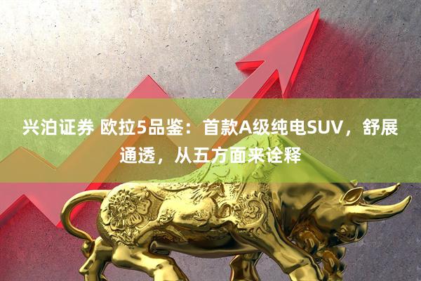 兴泊证券 欧拉5品鉴：首款A级纯电SUV，舒展通透，从五方面来诠释